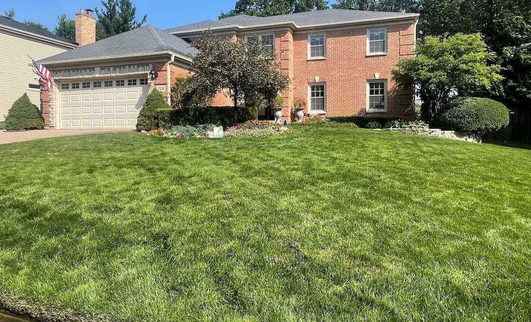 Lawn Aeration results-and-Lawn-Care-Treatments