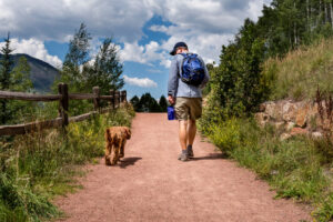 Wundervue Enhances Things to Do Guide for Travelers and Residents